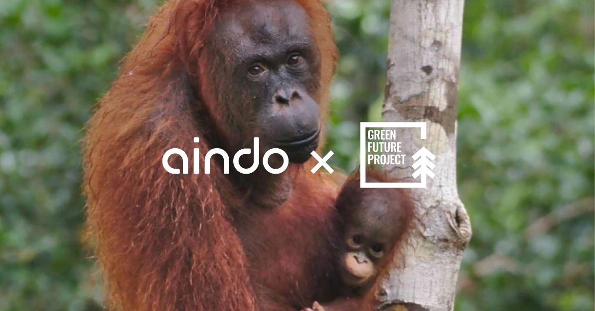 Aindo Continues Its Journey Towards Sustainability