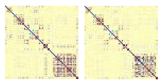 Correlation heatmaps